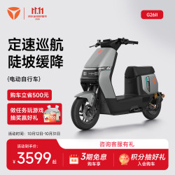 雅迪 智能互联防盗 电动自行车