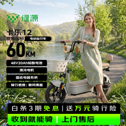 绿源 卡乐12 新国标电动自行车 雅灰