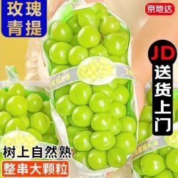 京地达 西昌阳光玫瑰 净重4.5斤 单果10g+ 葡萄晴王新鲜水果源头直发包邮