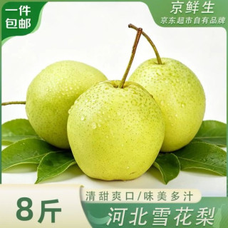 京鲜生 河北雪花梨 净重8斤 单果250g+ 生鲜水果 源头直发 包邮
