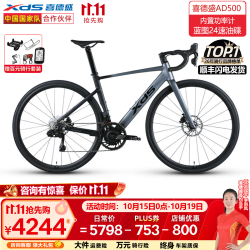 喜德盛 公路车AD500碳纤维前叉电变24速油压碟刹自行车