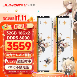 玖合 32GB(16GBx2)套装 DDR5 6000 台式机内存条 海力士A