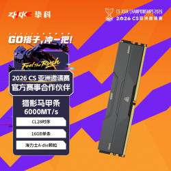 ZHIKE 16GB单条 DDR5 6000 C28 台式机内存条 猎影马甲条 海力士A-die颗粒 AMD专用内存