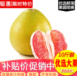 玖原农珍 福建琯溪蜜柚含箱10斤净重9斤