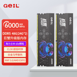 GeIL 巨蟹 DDR5内存条 台式机电脑内存条 5代内存条 马甲条 RGB灯条 运行内存条套条 适配9800X3D 海力士Mdie 48G(24GX2)6000灰C30