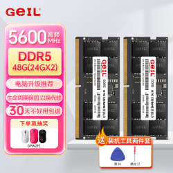 GeIL DDR5 笔记本内存条  24GB*2 48GB