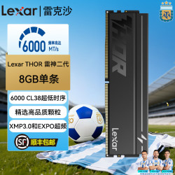 雷克沙 雷神二代内存条 THOR DDR5 6000MHz  CL38 原厂颗粒 台式机马甲内存条 DDR5-THOR雷神二代6000MHz 16GB 2条 (8GB*2)