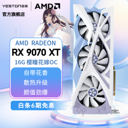 盈通 RADEON RX 9070 XT 樱瞳花嫁 OC 显卡 16GB