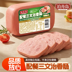 泊舟岛 三文治火腿早餐三明治午餐肉350g*2