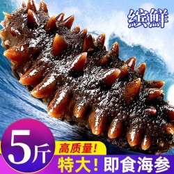 缤鲜 海参即食鲜活鲜食辽刺参淡干货大海生叁孕妇刺参礼盒500g特价袋装