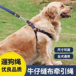 宠小曼 猫狗牵引绳套装 2件套 红蓝 L