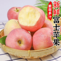 汇果康 特级红富士苹果水果当季现摘新鲜水果脆甜整箱批发