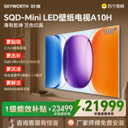 创维 电视机100A10H