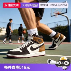 耐克 AIR JORDAN1 HI RETRO男子运动休闲鞋DZ5485-201