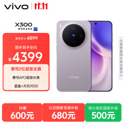 vivo X300 5G手机 12GB+512GB 惬意紫