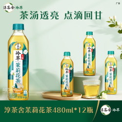 可口可乐 淳茶舍 冷萃茉莉花茶 480ml*12瓶 整箱装