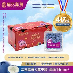 佳沃 云南当季蓝莓MBO系列 14mm+中果 6盒礼盒装 约125g/盒 新鲜水果