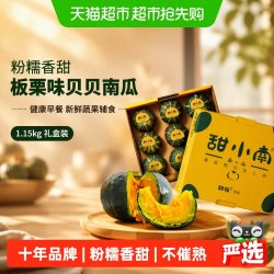 甜小南 贝贝南瓜南瓜礼盒2.3斤粉糯香甜板栗味