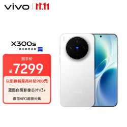 vivo X300s 5G手机 16GB+1TB 银白