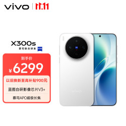 vivo X300s 5G手机 16GB+512GB 银白