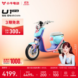 小牛电动 U1 one 电动自行车 48V24Ah锂电
