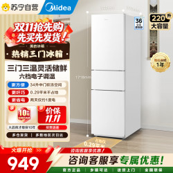 美的 BCD-220TM 极地白