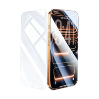 绿联 iPhone17/16Pro 防窥钢化膜 2片装