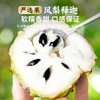 优味集 释迦果新鲜水果应季云南番荔枝牛奶凤梨释迦冰淇淋摩尼果孕妇生鲜 3斤装丨老树4A果（250