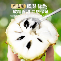 优味集 释迦果新鲜水果应季云南番荔枝牛奶凤梨释迦冰淇淋摩尼果孕妇生鲜 3斤装丨老树4A果（250