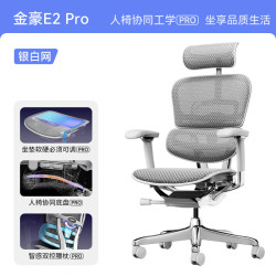 保友办公家具 保友金豪E2 Pro人体工学椅 办公椅电脑椅 银白网