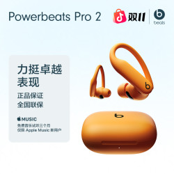 Beats Powerbeats Pro 2  真无线高性能耳机