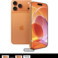 苹果 iPhone 17 pro max  全网通5G 双卡双待