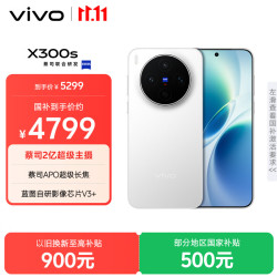 vivo X300s 5G手机 12GB+256GB 银白