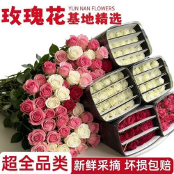与花同行 【玫瑰自由季】新鲜随机玫瑰花束家居装饰水养鲜切花基地礼物真花 【10枝】随机单色玫瑰