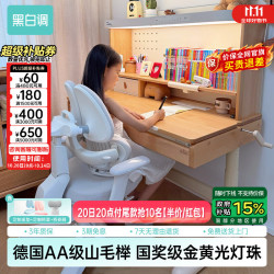 黑白调 儿童学习桌  S2四代+G6Pro灰色 标准款