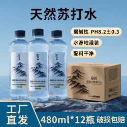 泉匠 EHO天然苏打水480ml*12瓶 淘金币11.16元