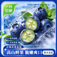 康师傅 劲爽方便面 红烧+酸菜+麻辣+泡椒 4味 共12桶