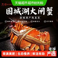 88VIP：椒乡 徽印固城湖大闸蟹足重活蟹全母2.3-2.7两*8只