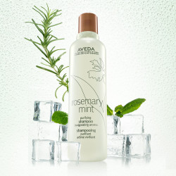 AVEDA 艾梵达（AVEDA）250ML*2（赠同款200ml）迷迭香薄荷洗发水长效控油清爽蓬松温和清洁男士洗发露