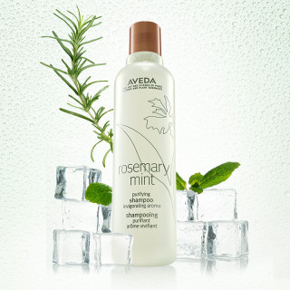 AVEDA 艾梵达（AVEDA）250ML*2（赠同款200ml）迷迭香薄荷洗发水长效控油清爽蓬松温和清洁男士洗发露