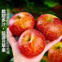 京觅 源头直发 苹果  2.25kg