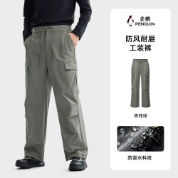 企鹅 户外男士休闲裤秋季男裤宽松长裤直筒薄款工装裤防水登山裤子