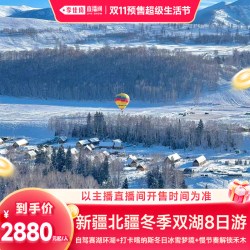 新疆旅游冬季漫游禾木阿勒泰8日1+1车型