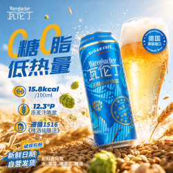 瓦伦丁 Wurenbacher）德国原装进口无糖小麦啤酒500ml