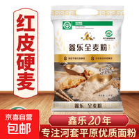 鑫乐 河套平原全麦粉 5斤