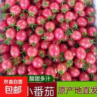 圣女果小番茄现摘现发新鲜直达 千禧圣女果带箱4斤装（单果4g+小果）