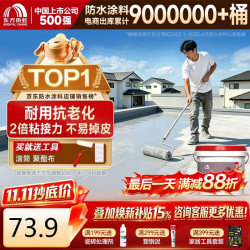 东方雨虹 雨虹防水可外露水性防水涂料 5kg