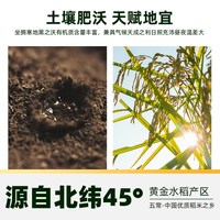 移动端、88VIP：十月稻田 稻花香2号 特等五常大米 5kg