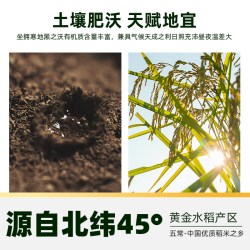 十月稻田 稻花香2号 特等五常大米 5kg