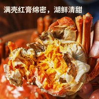 苏丰韵 阳澄湖大闸蟹 鲜活礼盒装